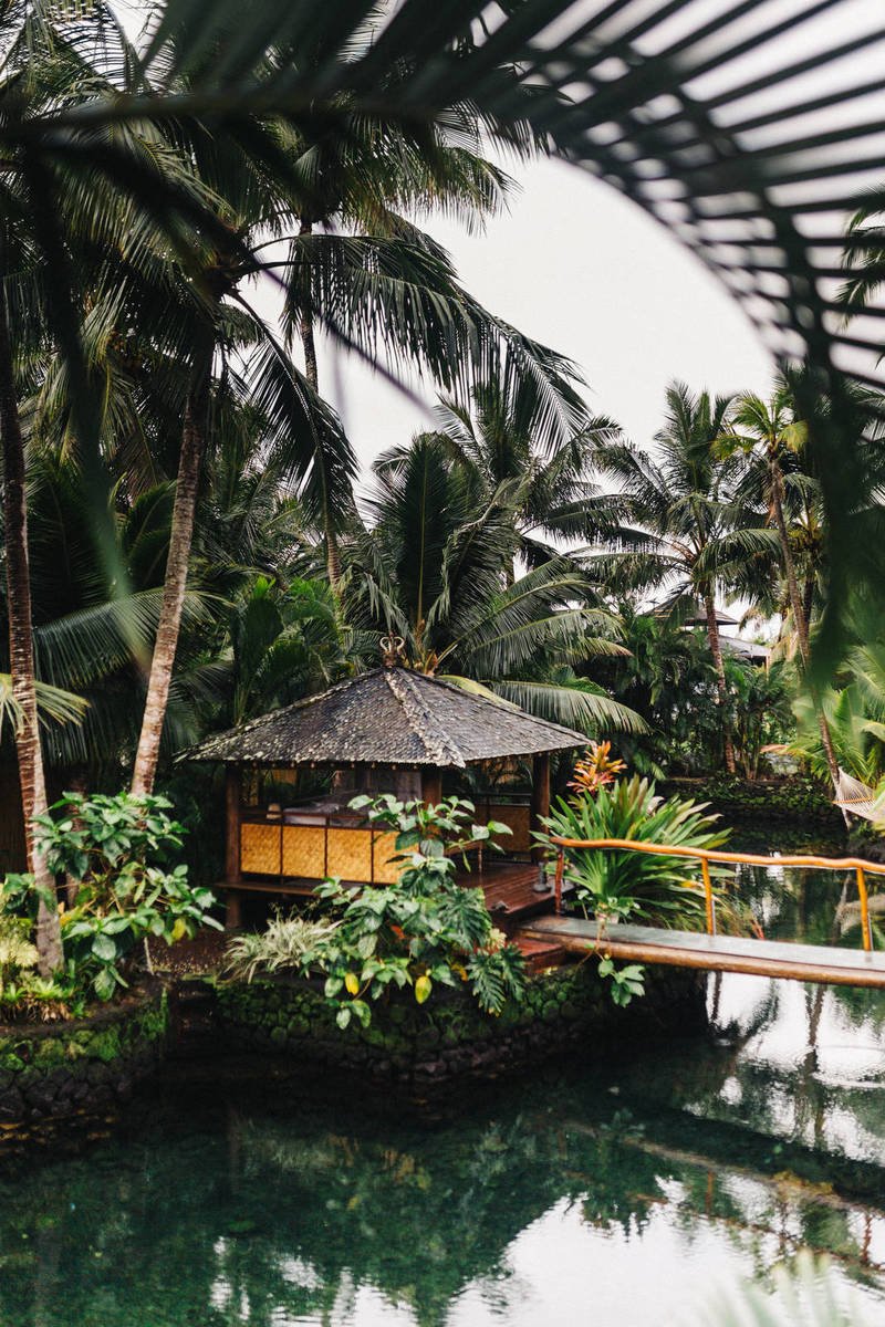 Mediterranean Diet 101: Food List, Health Benefits & Meal Plan Mediterranean Diet 101: Food List, Health Benefits & Meal Plan