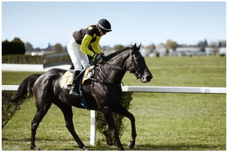 Mastering the Art of Betting on Horse Racing